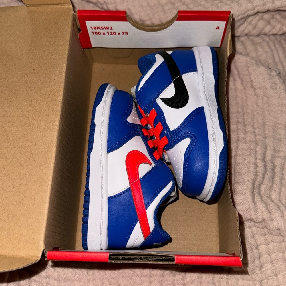 Nike low dunk
